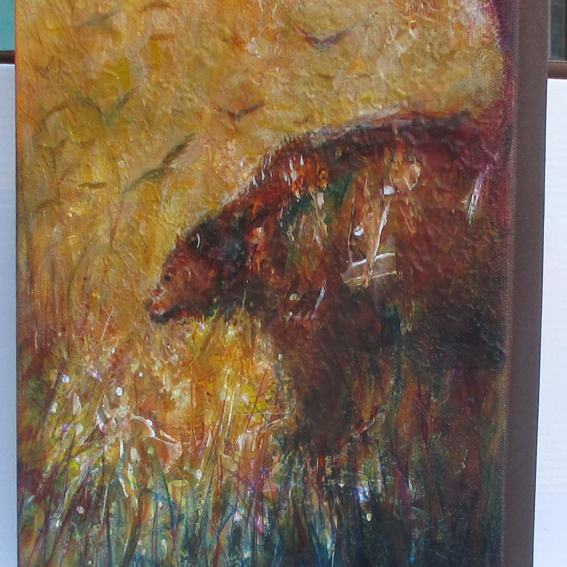 Harvest Moon Bear 